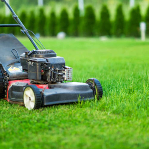 A close-up of a push mower cutting grass on a clear day.