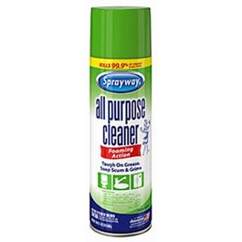 All-Purpose Cleaner, Aerosol, 19-oz.