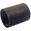 Black Pipe Merch Coupling, .5-In.