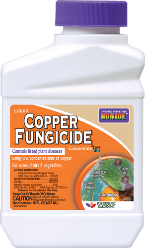 Bonide Liquid Copper Fungicide Concentrate (16-oz)