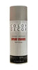 Color Decor Interior/Exterior Spray Paint