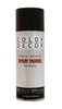 Color Decor Interior/Exterior Spray Paint