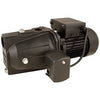Shallow Well Jet Pump, .75-HP Motor