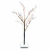 Twig Tree, Brown, 48 Warm White LED Lights, 4-Ft.