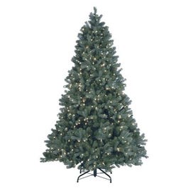 Artificial Pre-Lit Christmas Tree, Douglas Blue Fir With 700 Warm White LED Lights, Hinged, 7.5-Ft.