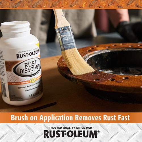 Rust-Oleum Automotive Rust Dissolver